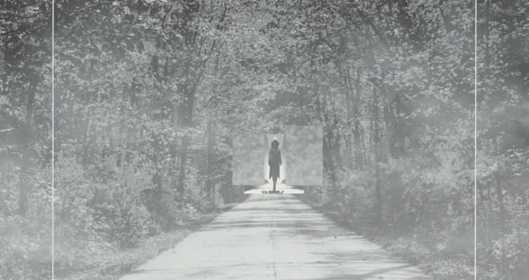 a woman in a hooded coat walking through a misty forest.